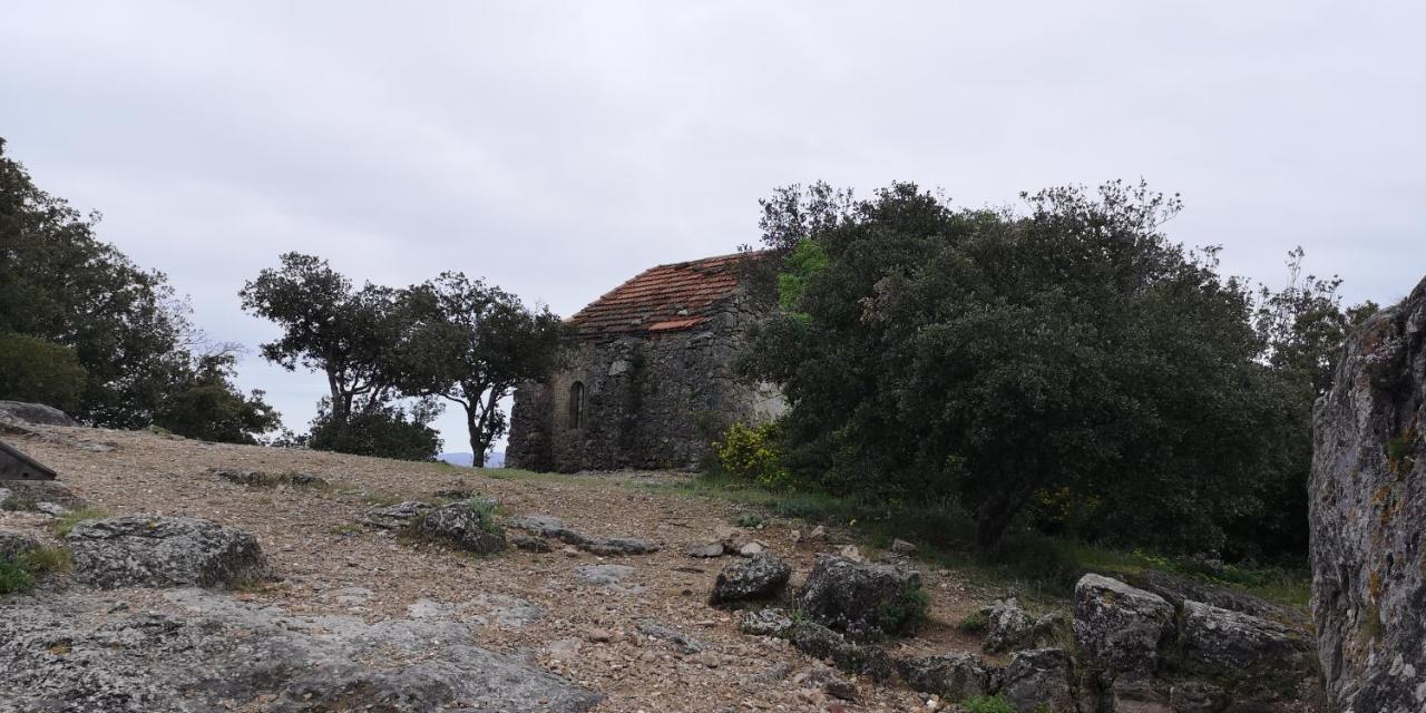 Bed and Breakfast Le Mimosa Saint-Saturnin-de-Lucian Esterno foto