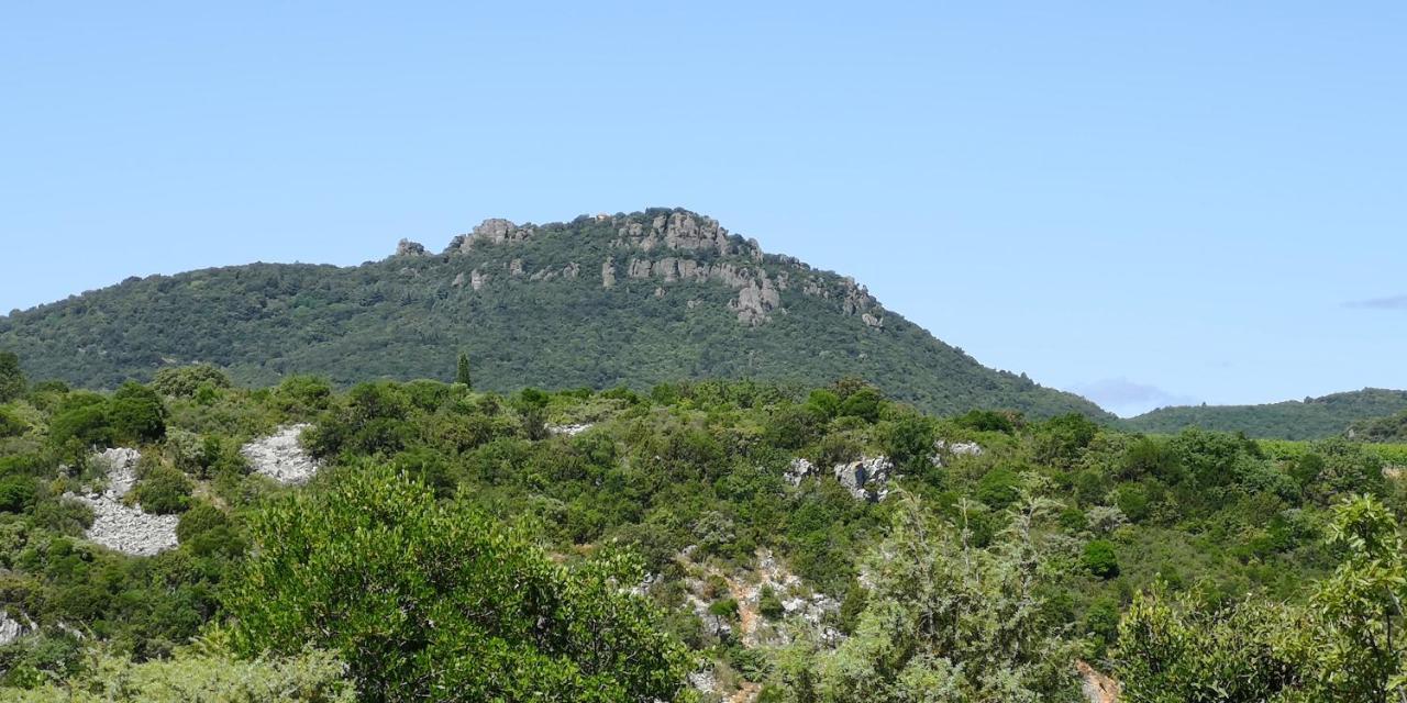 Bed and Breakfast Le Mimosa Saint-Saturnin-de-Lucian Esterno foto