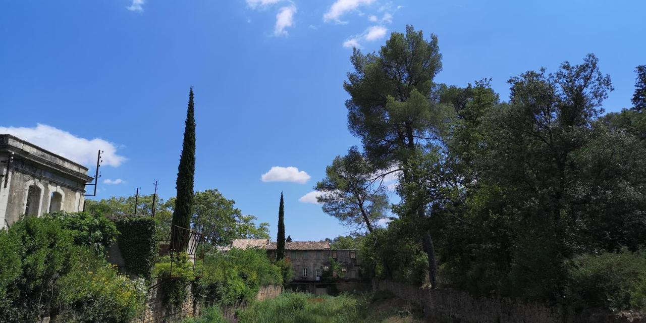 Bed and Breakfast Le Mimosa Saint-Saturnin-de-Lucian Esterno foto