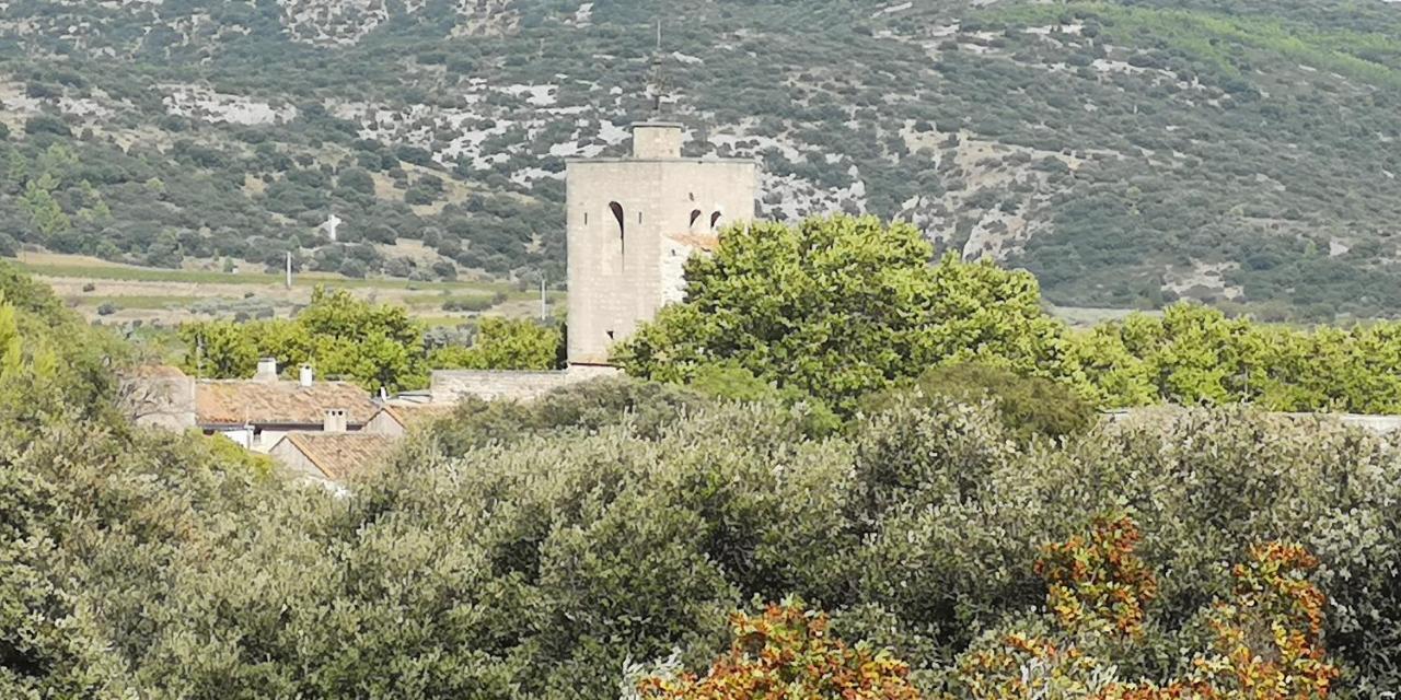 Bed and Breakfast Le Mimosa Saint-Saturnin-de-Lucian Esterno foto