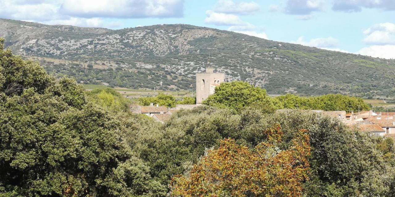 Bed and Breakfast Le Mimosa Saint-Saturnin-de-Lucian Esterno foto