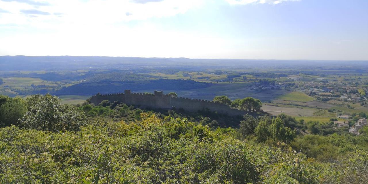 Bed and Breakfast Le Mimosa Saint-Saturnin-de-Lucian Esterno foto