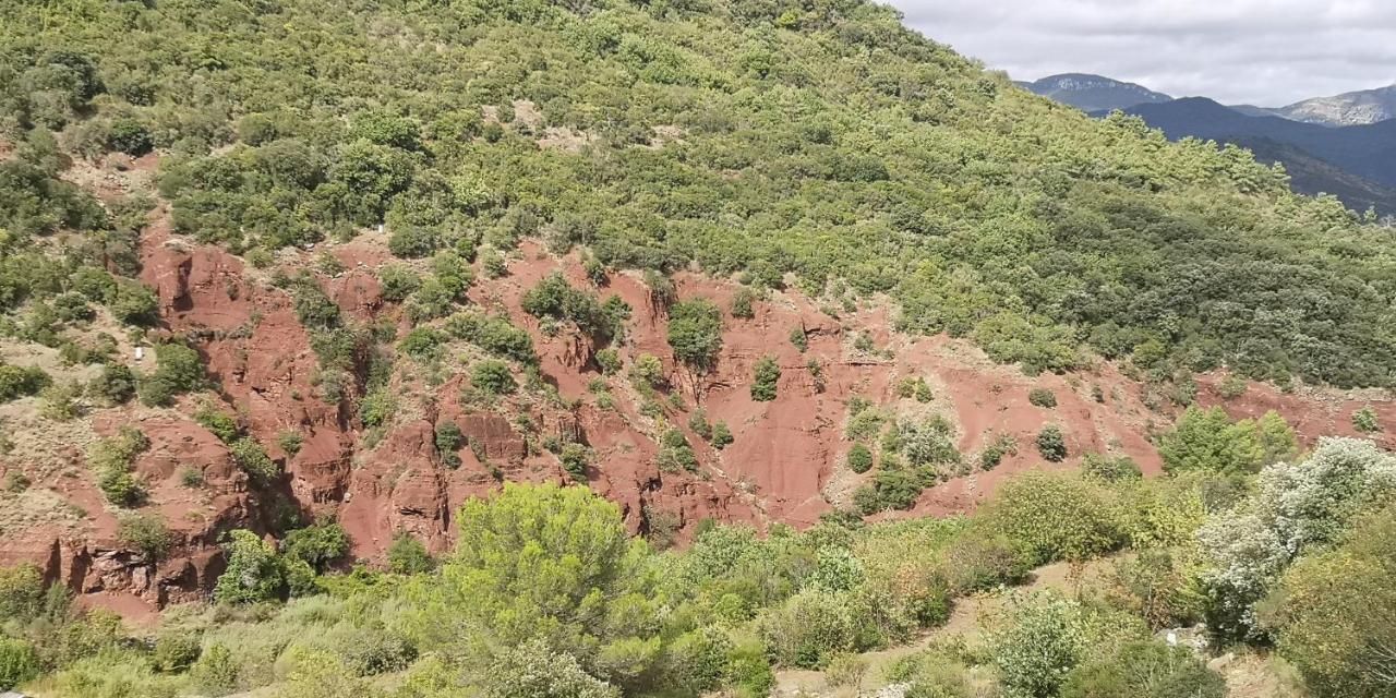 Bed and Breakfast Le Mimosa Saint-Saturnin-de-Lucian Esterno foto