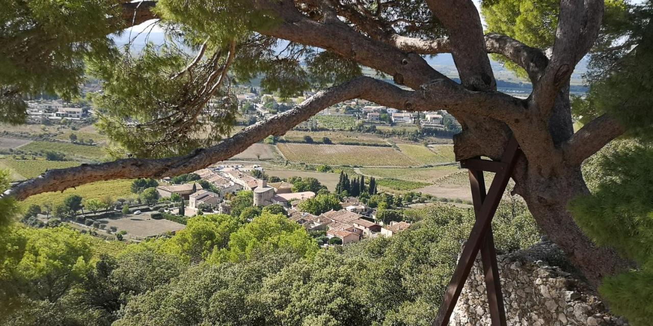 Bed and Breakfast Le Mimosa Saint-Saturnin-de-Lucian Esterno foto