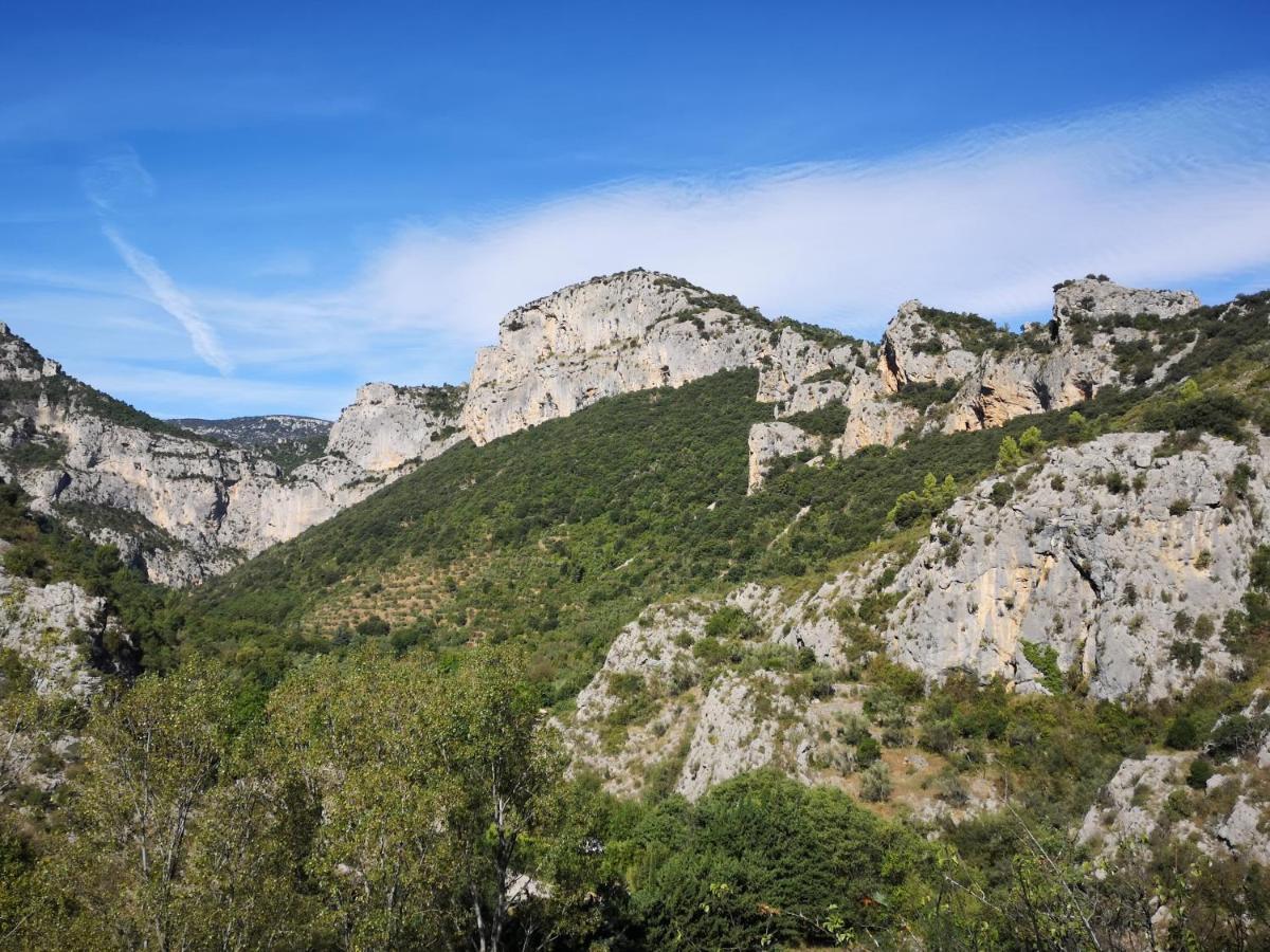 Bed and Breakfast Le Mimosa Saint-Saturnin-de-Lucian Esterno foto