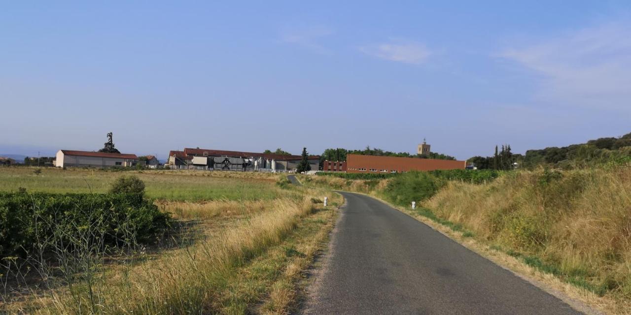 Bed and Breakfast Le Mimosa Saint-Saturnin-de-Lucian Esterno foto