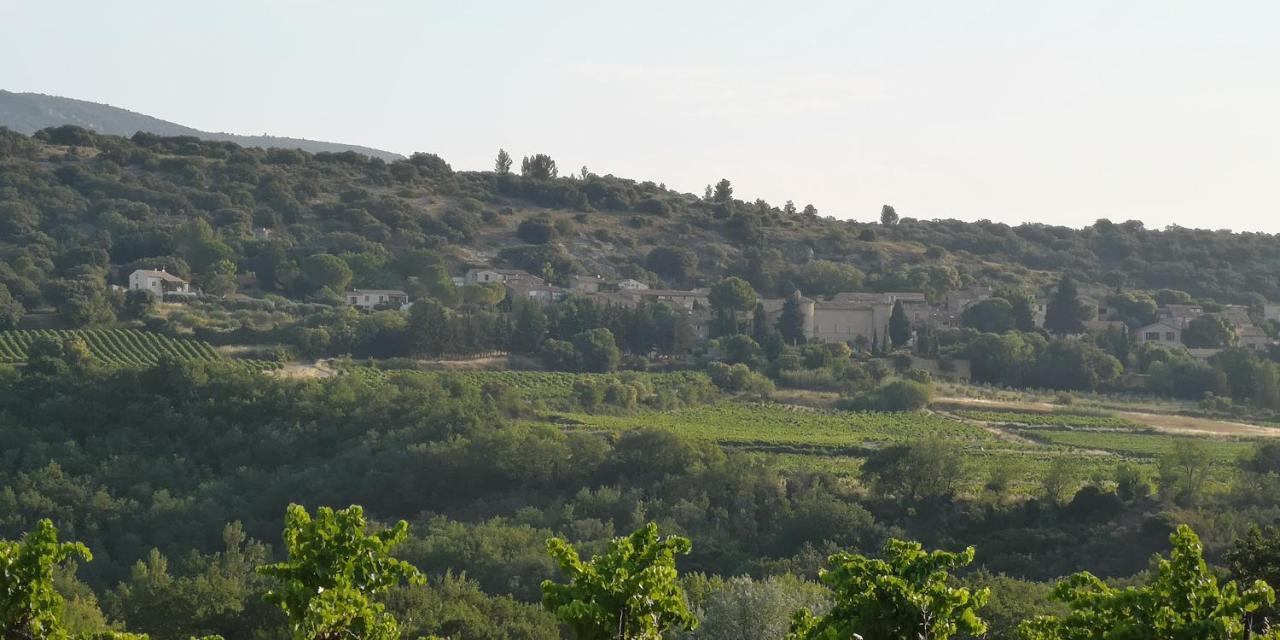 Bed and Breakfast Le Mimosa Saint-Saturnin-de-Lucian Esterno foto
