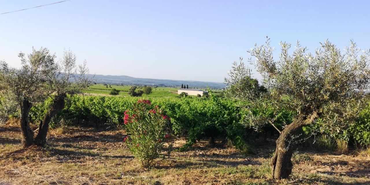 Bed and Breakfast Le Mimosa Saint-Saturnin-de-Lucian Esterno foto