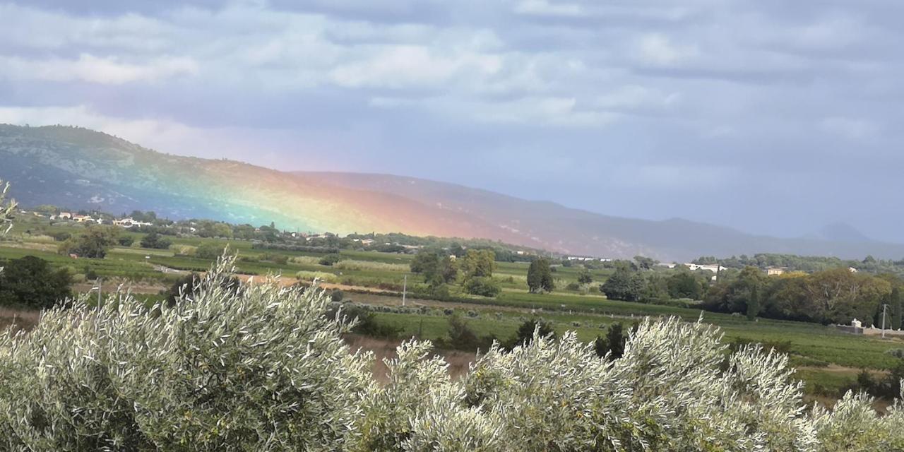 Bed and Breakfast Le Mimosa Saint-Saturnin-de-Lucian Esterno foto