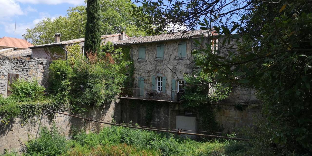 Bed and Breakfast Le Mimosa Saint-Saturnin-de-Lucian Esterno foto