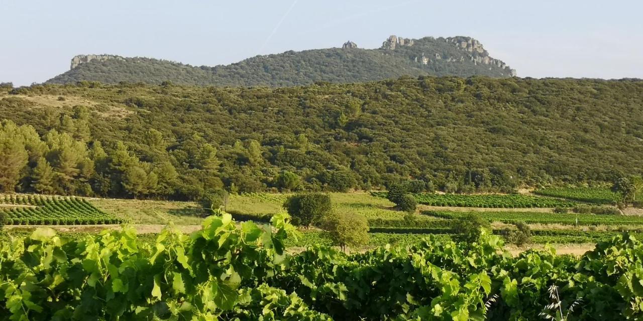 Bed and Breakfast Le Mimosa Saint-Saturnin-de-Lucian Esterno foto
