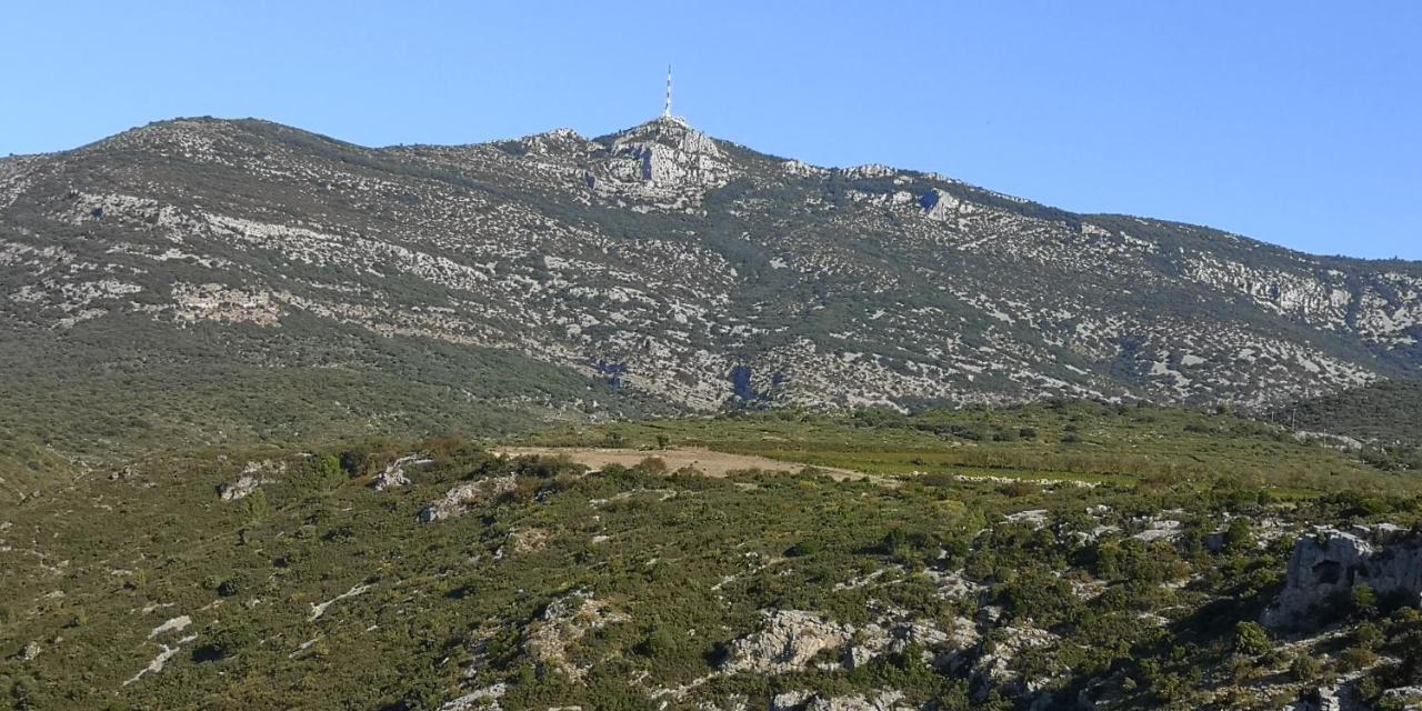 Bed and Breakfast Le Mimosa Saint-Saturnin-de-Lucian Esterno foto