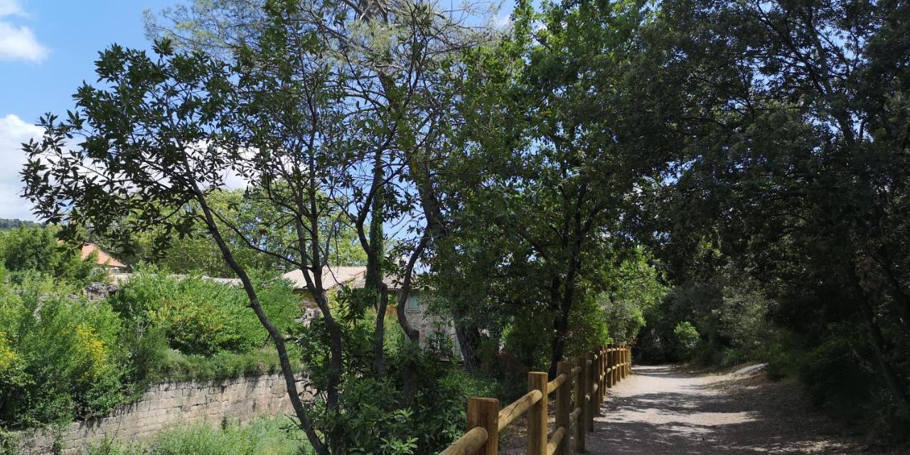 Bed and Breakfast Le Mimosa Saint-Saturnin-de-Lucian Esterno foto