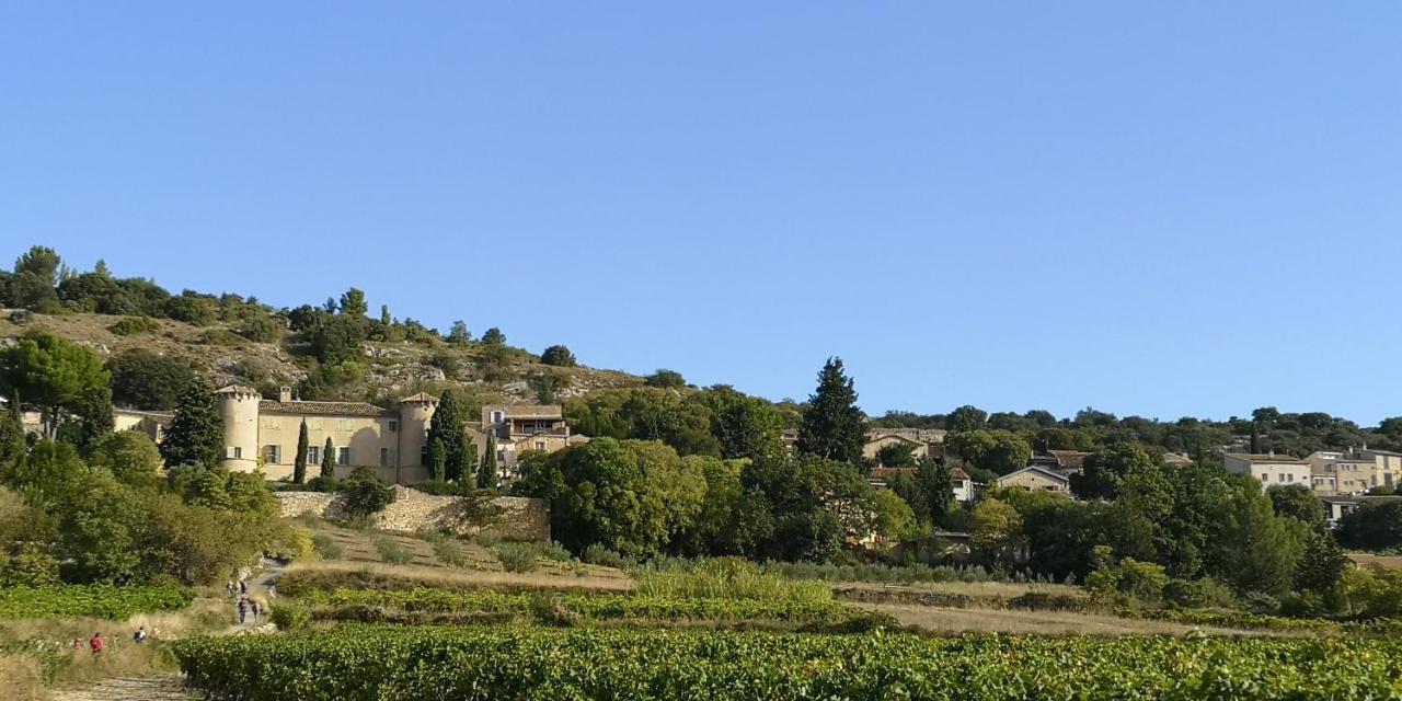 Bed and Breakfast Le Mimosa Saint-Saturnin-de-Lucian Esterno foto