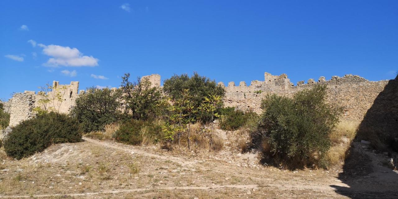 Bed and Breakfast Le Mimosa Saint-Saturnin-de-Lucian Esterno foto