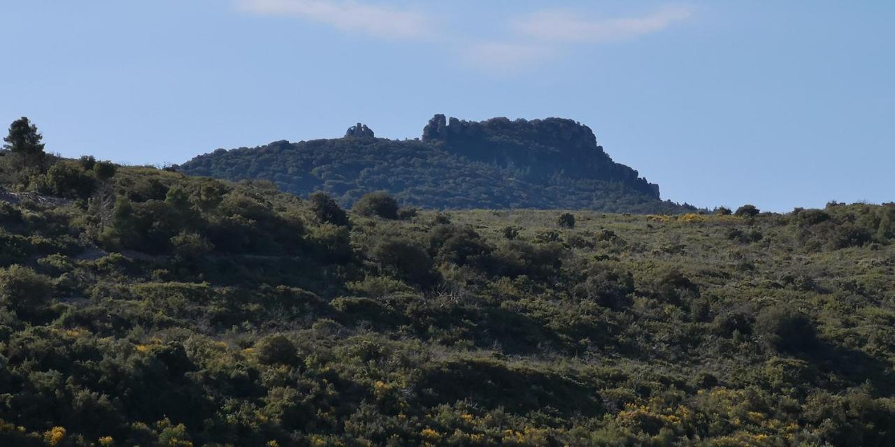 Bed and Breakfast Le Mimosa Saint-Saturnin-de-Lucian Esterno foto