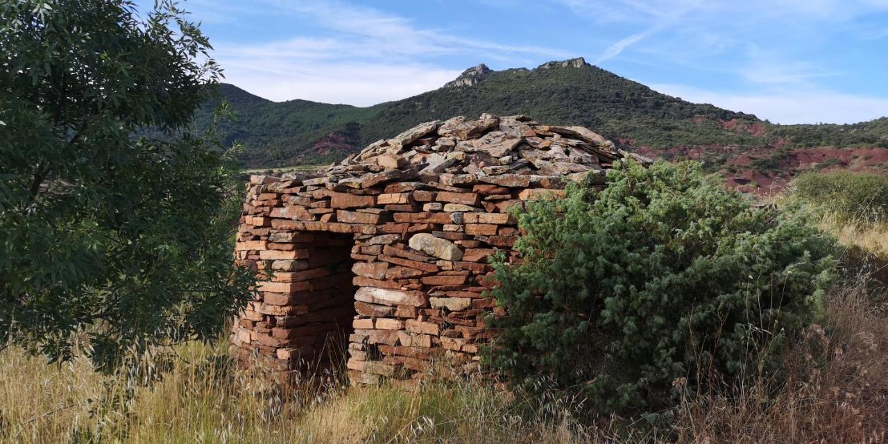 Bed and Breakfast Le Mimosa Saint-Saturnin-de-Lucian Esterno foto