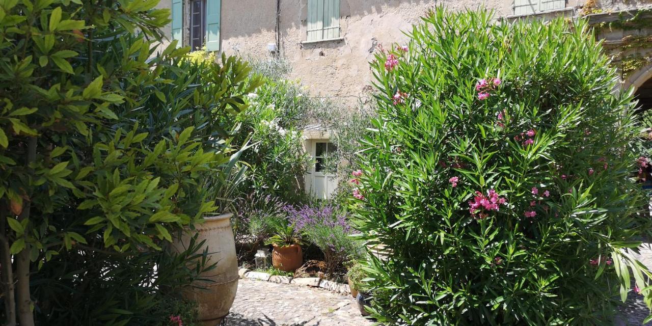 Bed and Breakfast Le Mimosa Saint-Saturnin-de-Lucian Esterno foto